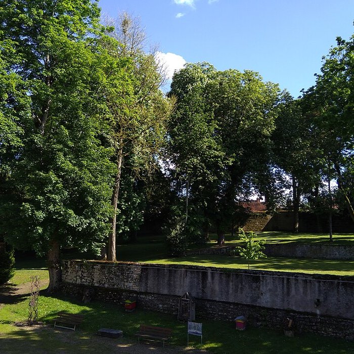 Photo de Musée Baron-Martin à Gray