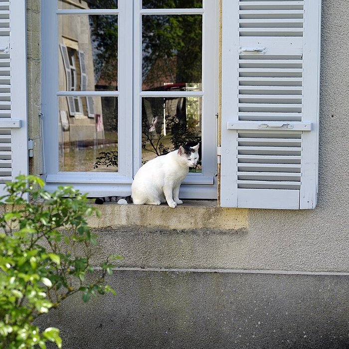 Photo de Musée Baron-Martin à Gray