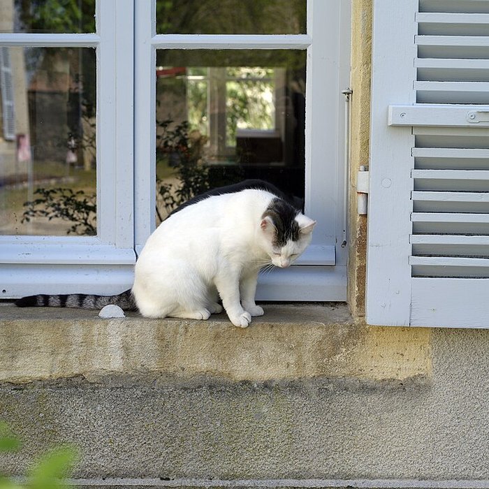 Photo de Musée Baron-Martin à Gray