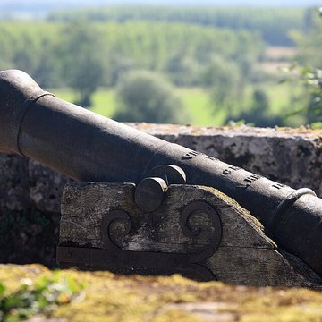 Musée Baron-Martin à Gray