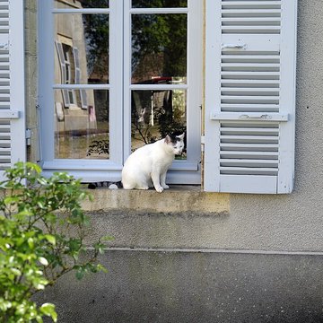 Musée Baron-Martin à Gray