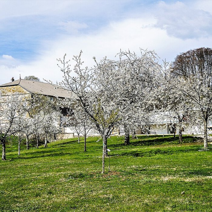 Photo de Écomusée du pays de la cerise de Fougerolles