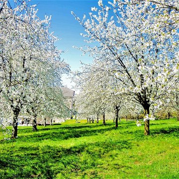 Écomusée du pays de la cerise de Fougerolles