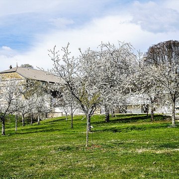 Écomusée du pays de la cerise de Fougerolles