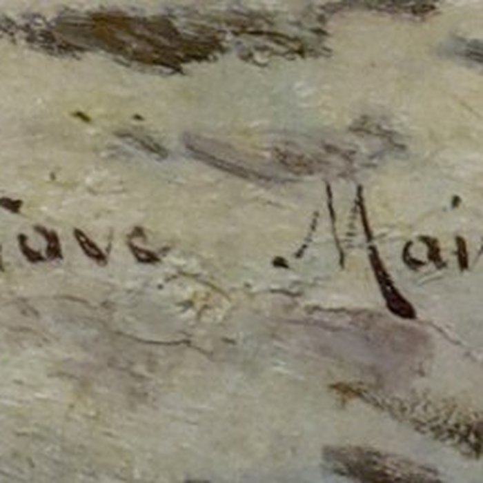 Photo de Musée dhistoire et darchéologie de Belfort