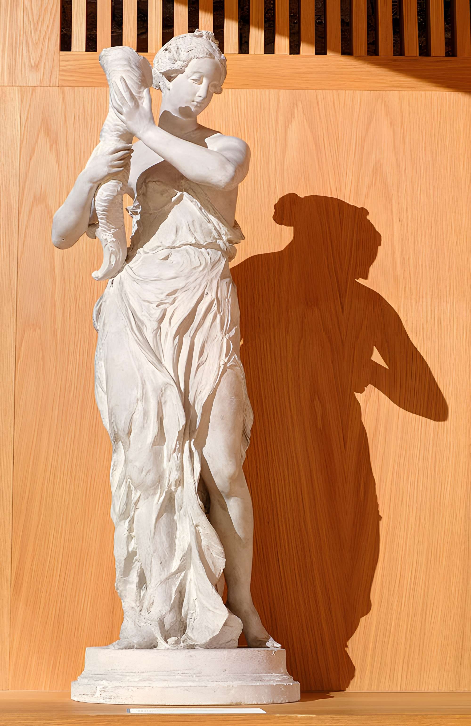 Musée d'histoire et d'archéologie de Belfort