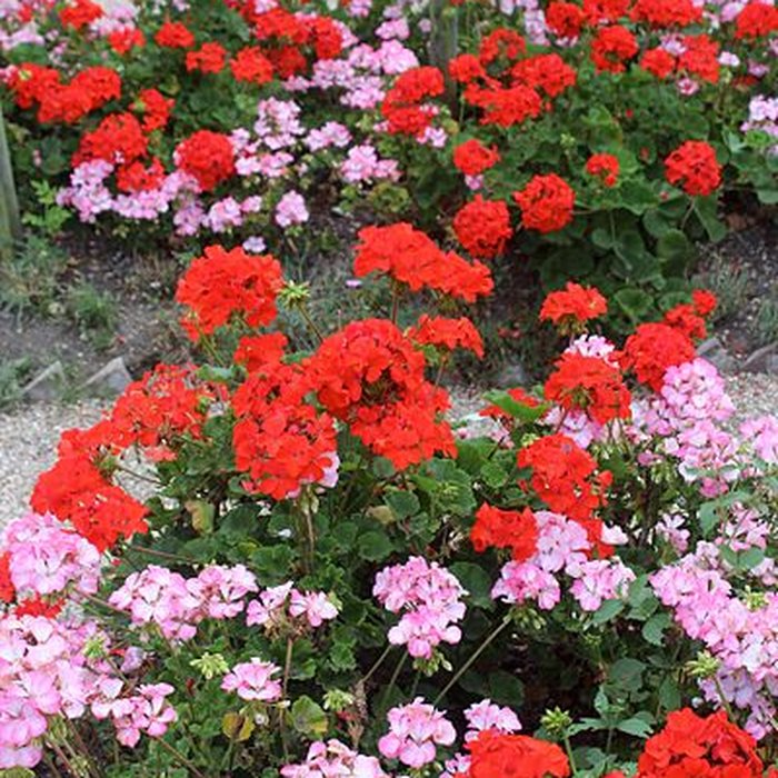 Photo de Fondation Claude Monet à Giverny