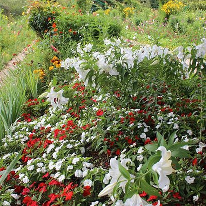 Photo de Fondation Claude Monet à Giverny