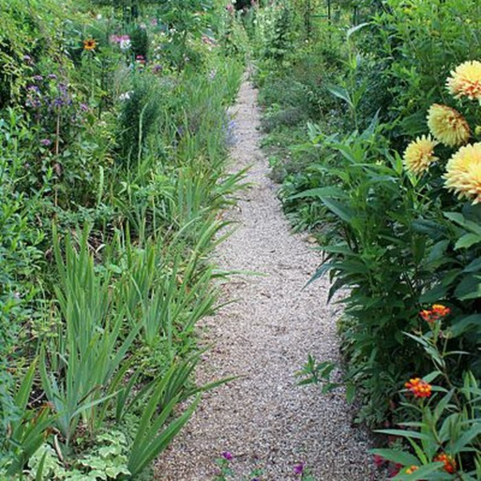 Photo de Fondation Claude Monet à Giverny