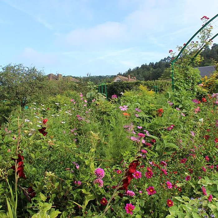 Photo de Fondation Claude Monet à Giverny