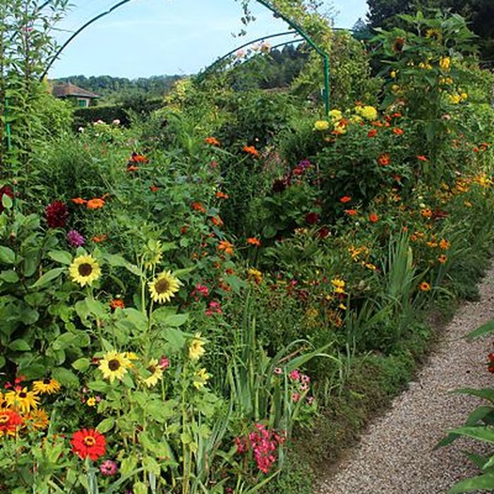 Photo de Fondation Claude Monet à Giverny
