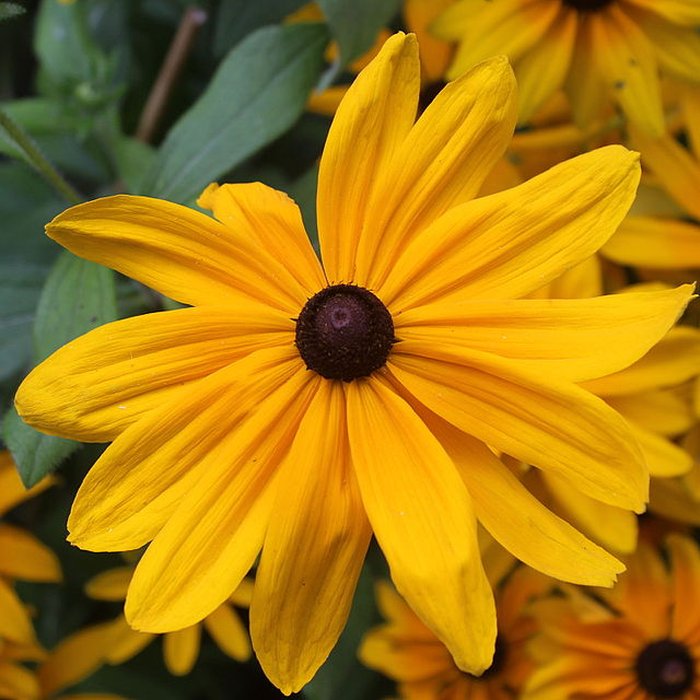 Photo de Fondation Claude Monet à Giverny