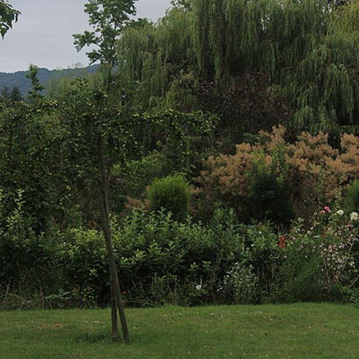 Photo de Fondation Claude Monet à Giverny