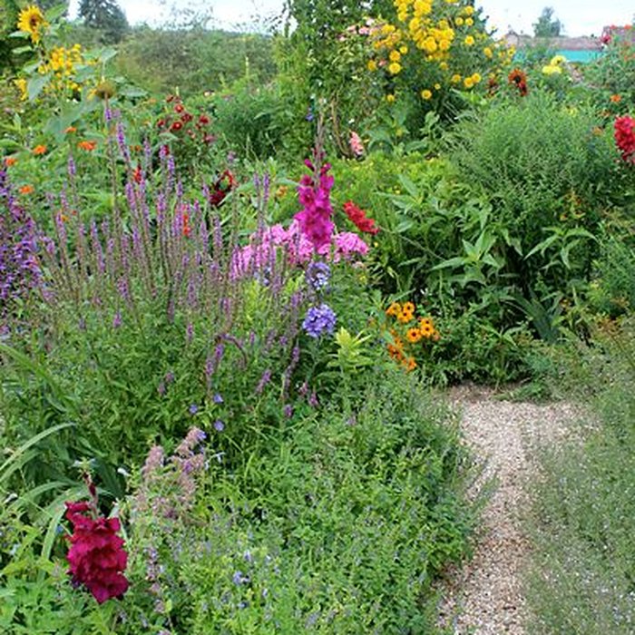 Photo de Fondation Claude Monet à Giverny