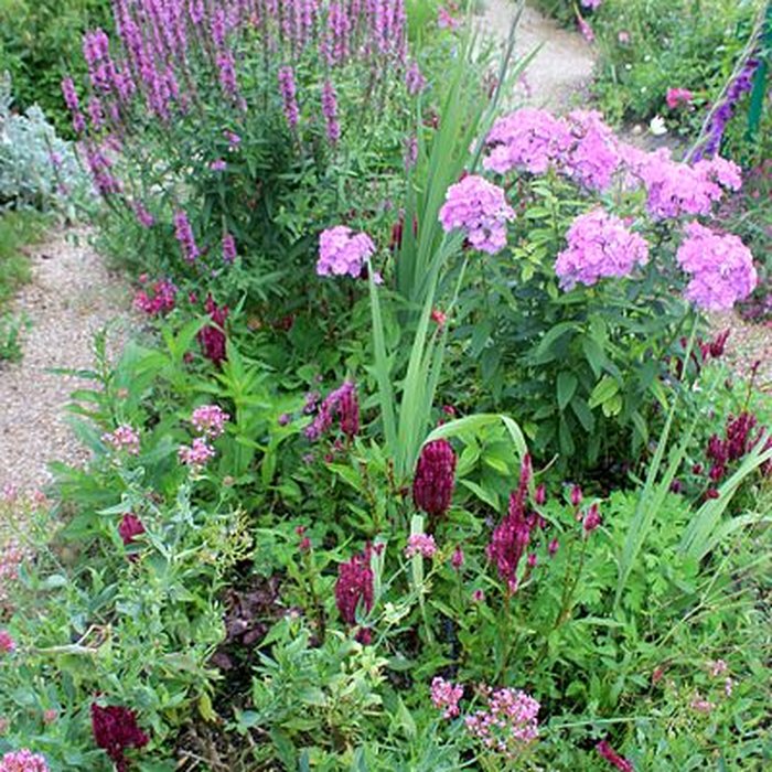 Photo de Fondation Claude Monet à Giverny