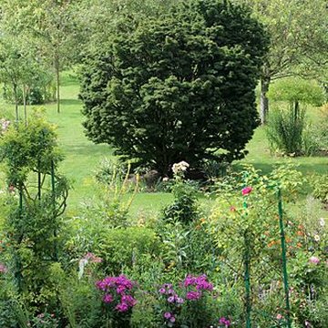 Fondation Claude Monet à Giverny