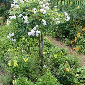Fondation Claude Monet à Giverny
