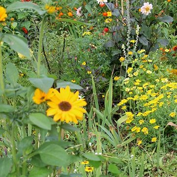 Fondation Claude Monet à Giverny