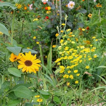 Fondation Claude Monet à Giverny