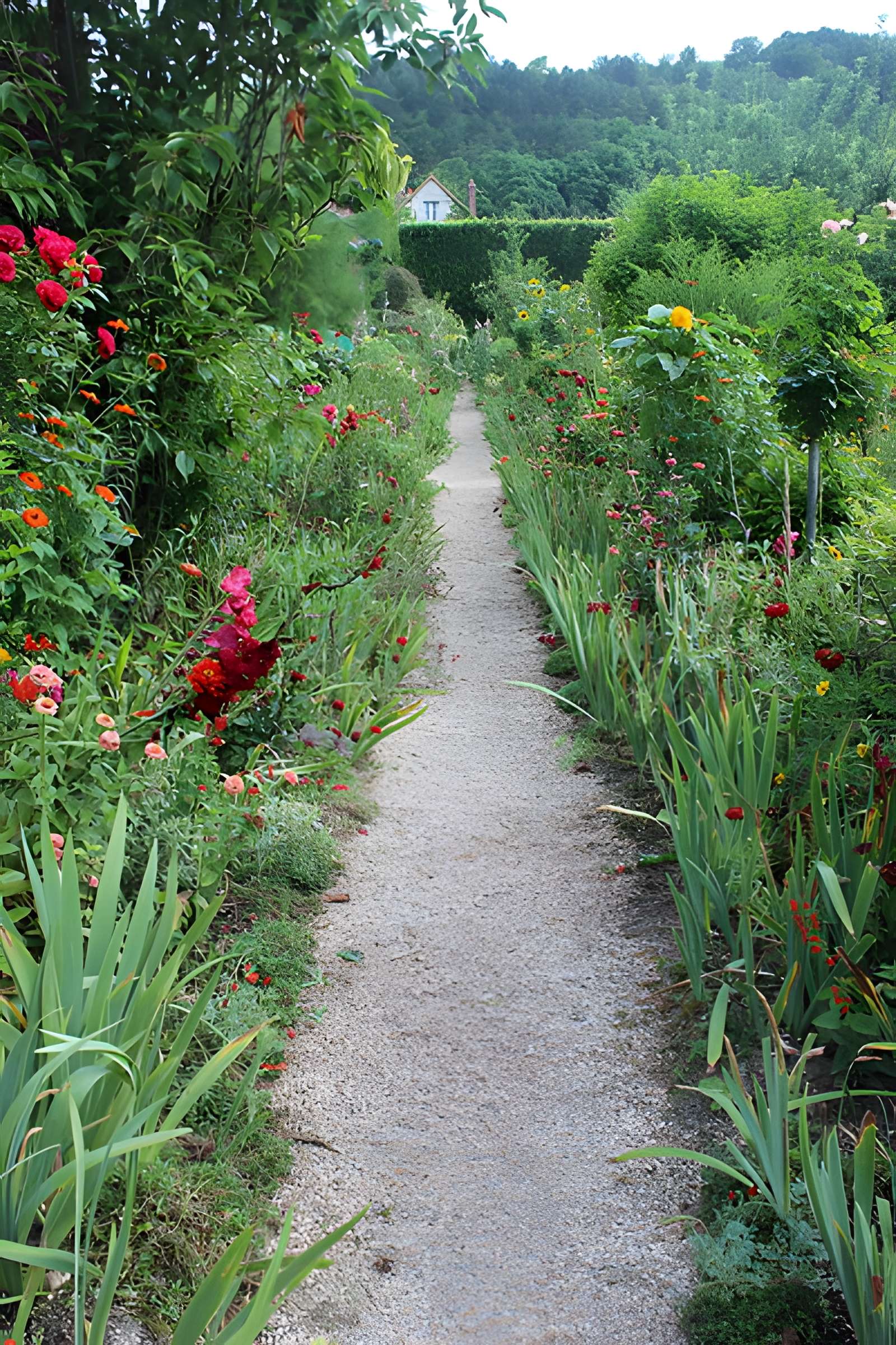 Fondation Claude Monet à Giverny