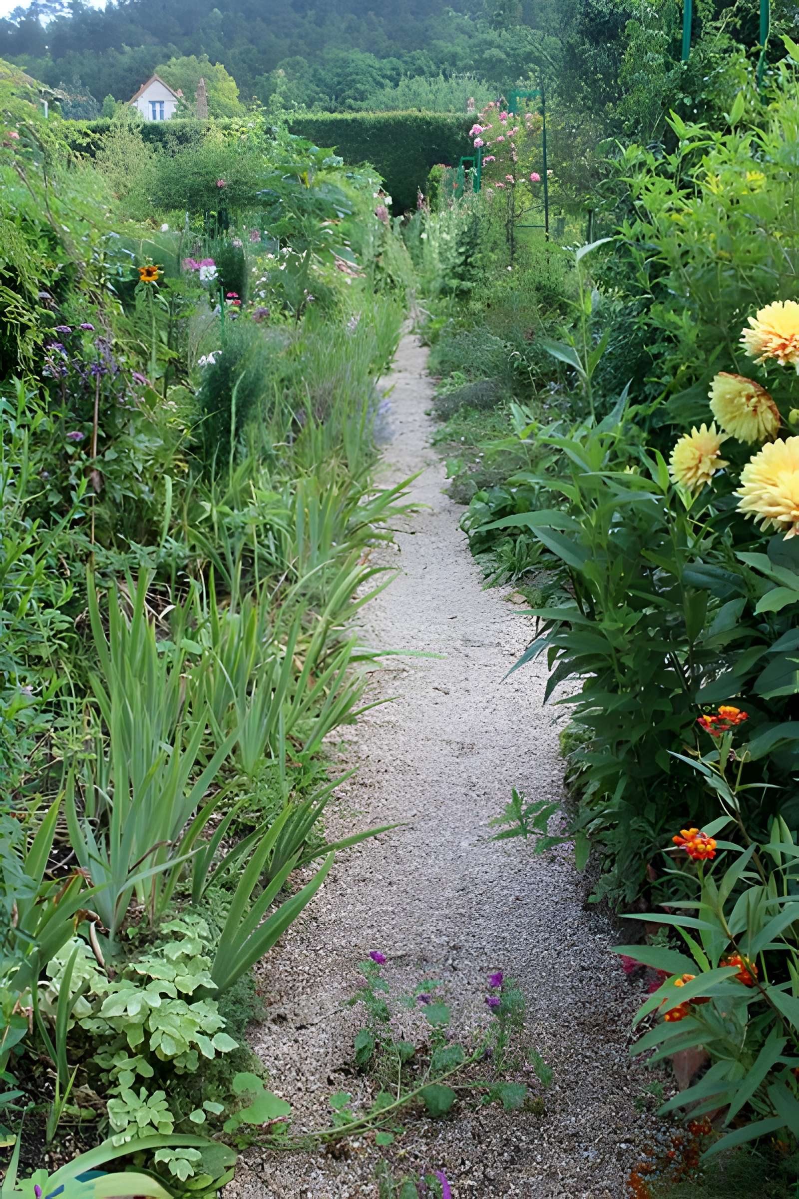 Fondation Claude Monet à Giverny