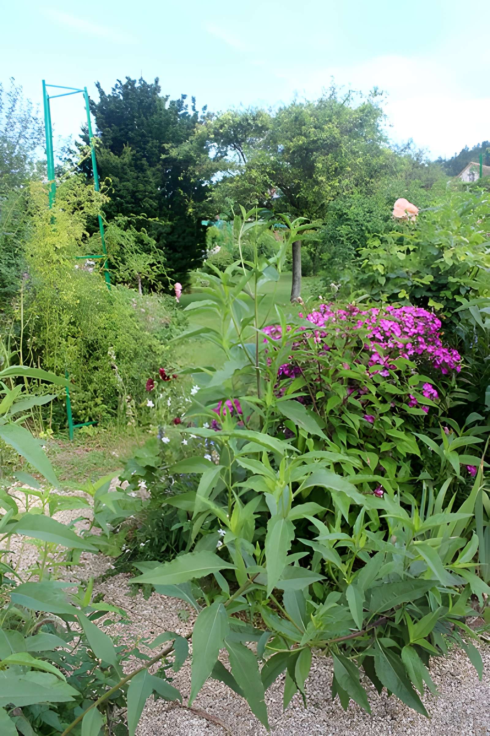 Fondation Claude Monet à Giverny