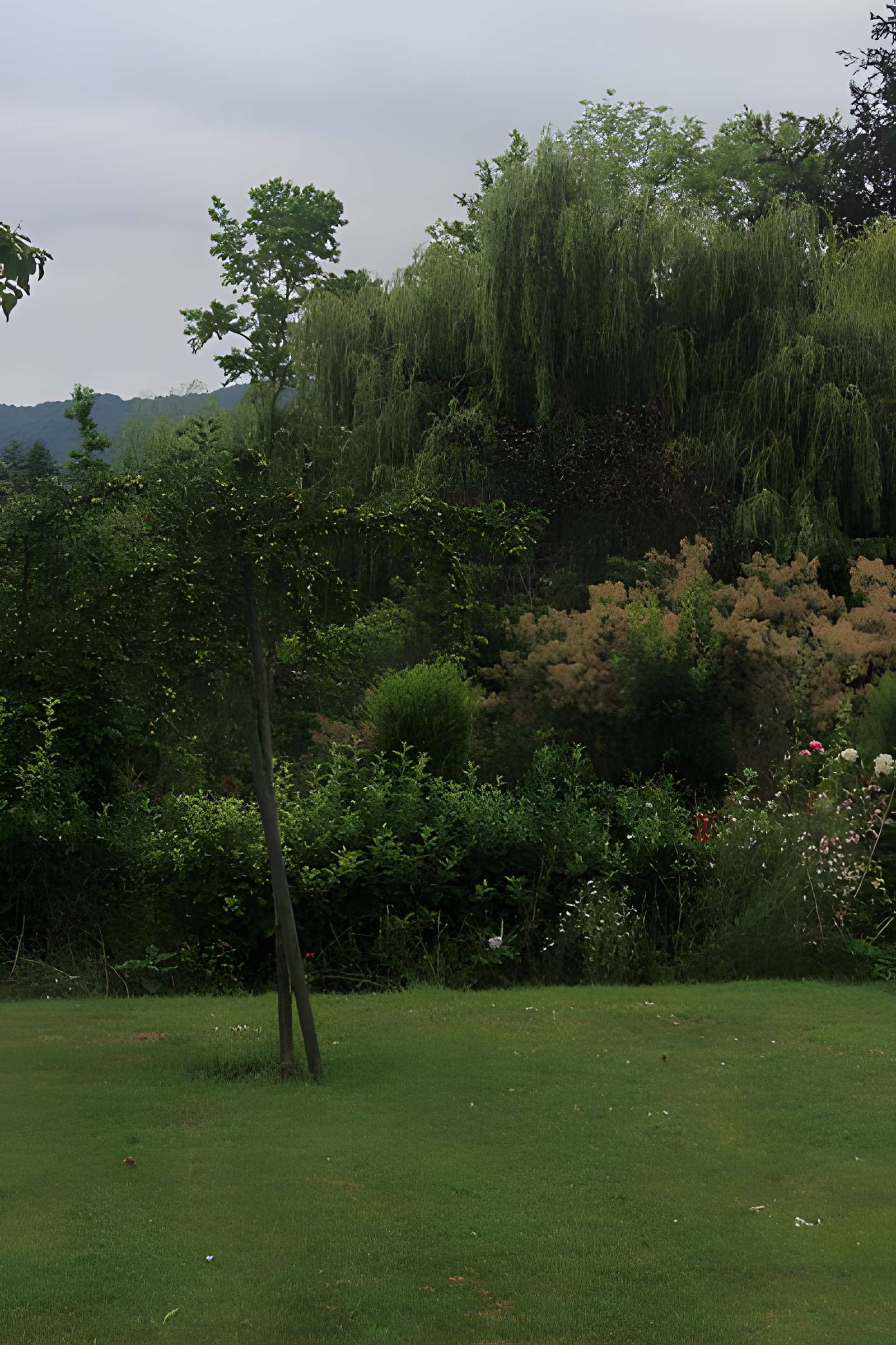 Fondation Claude Monet à Giverny