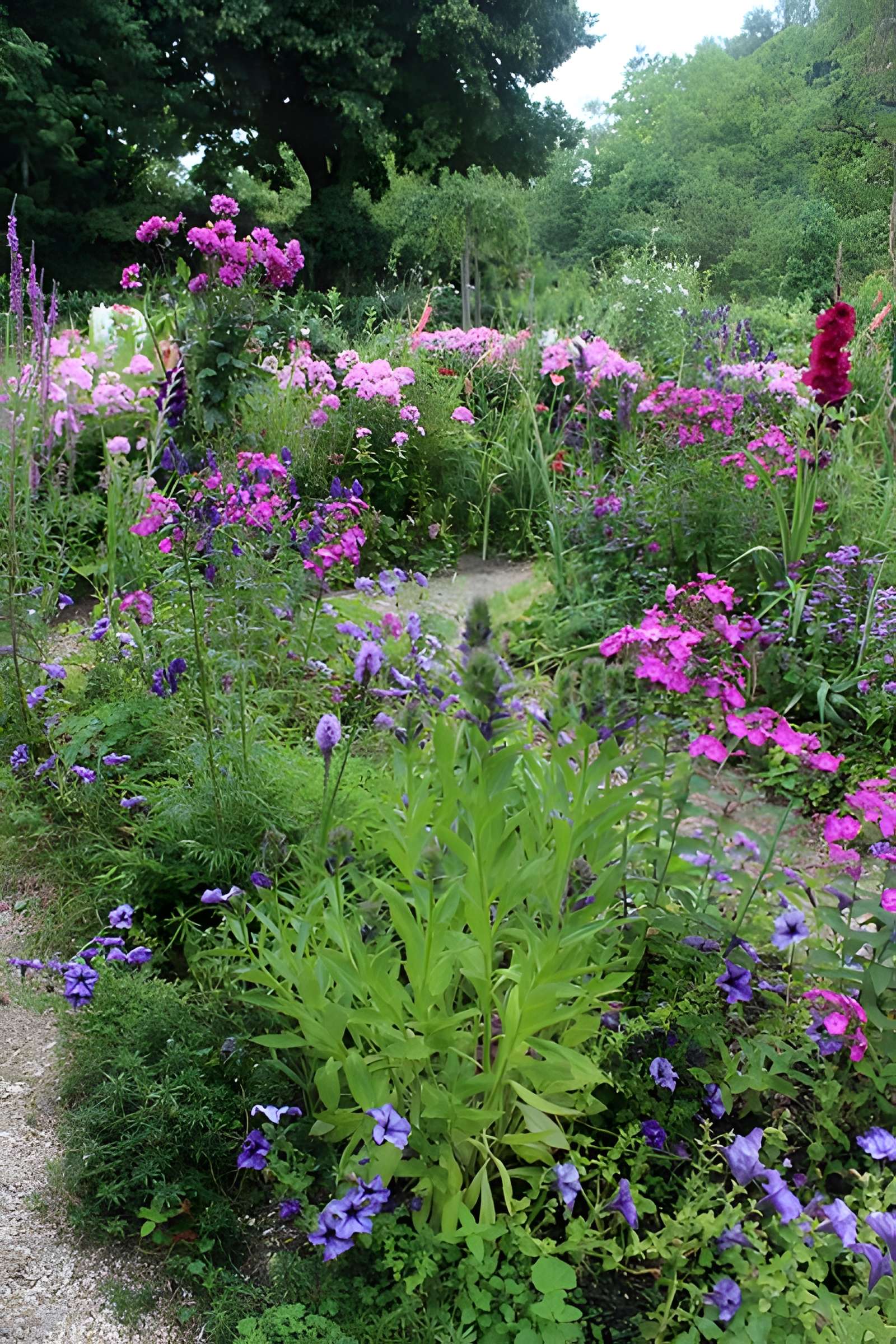 Fondation Claude Monet à Giverny
