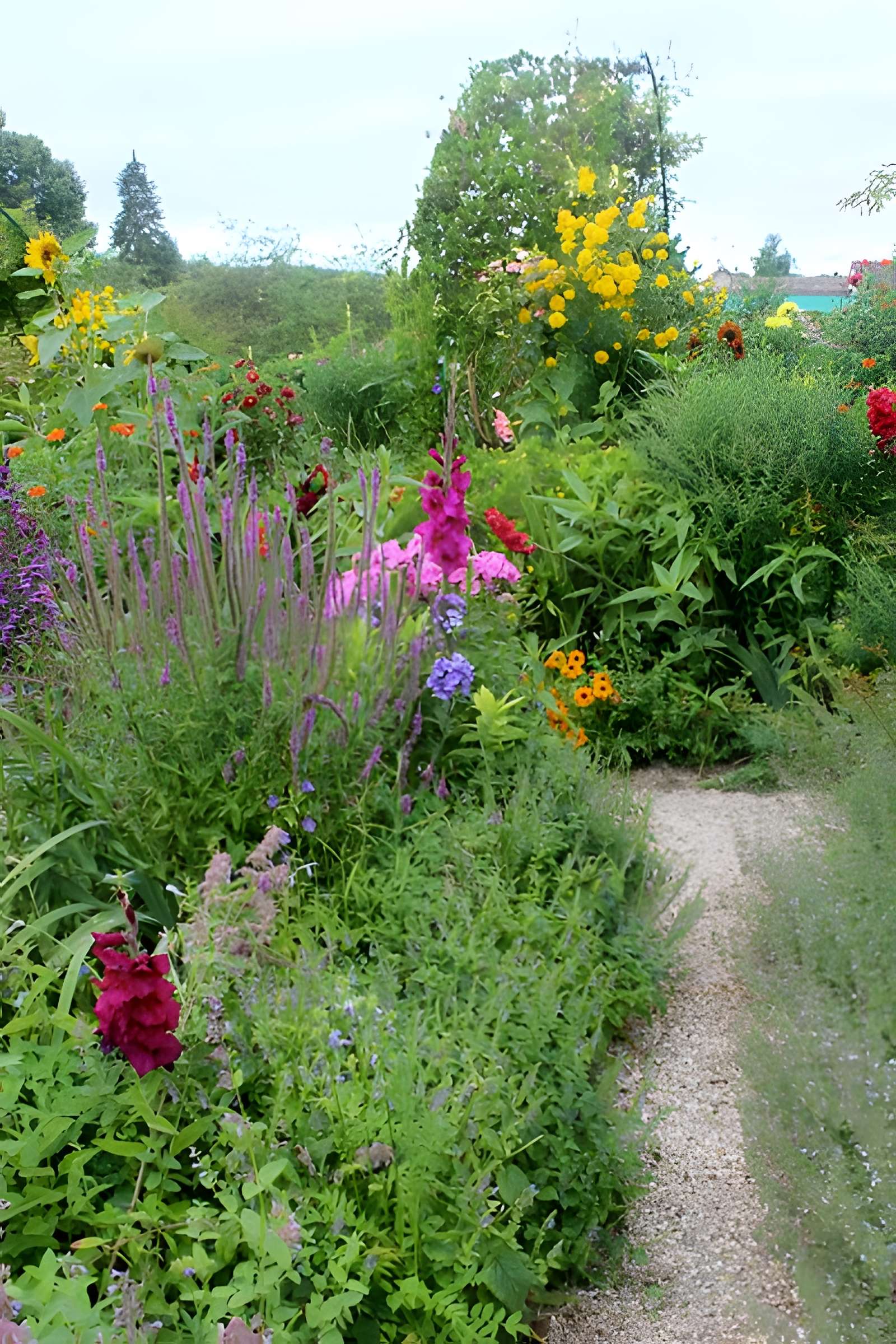 Fondation Claude Monet à Giverny