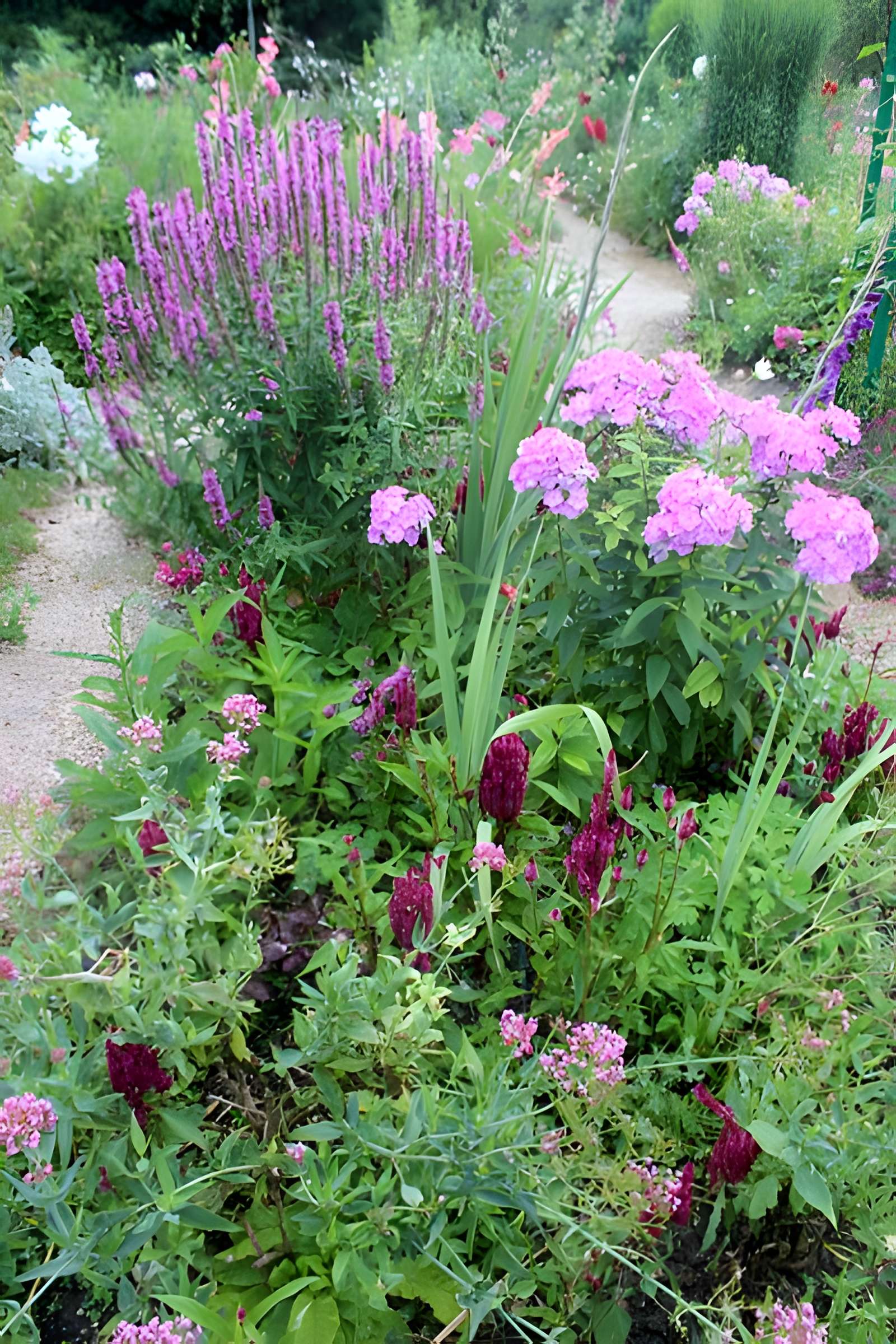 Fondation Claude Monet à Giverny
