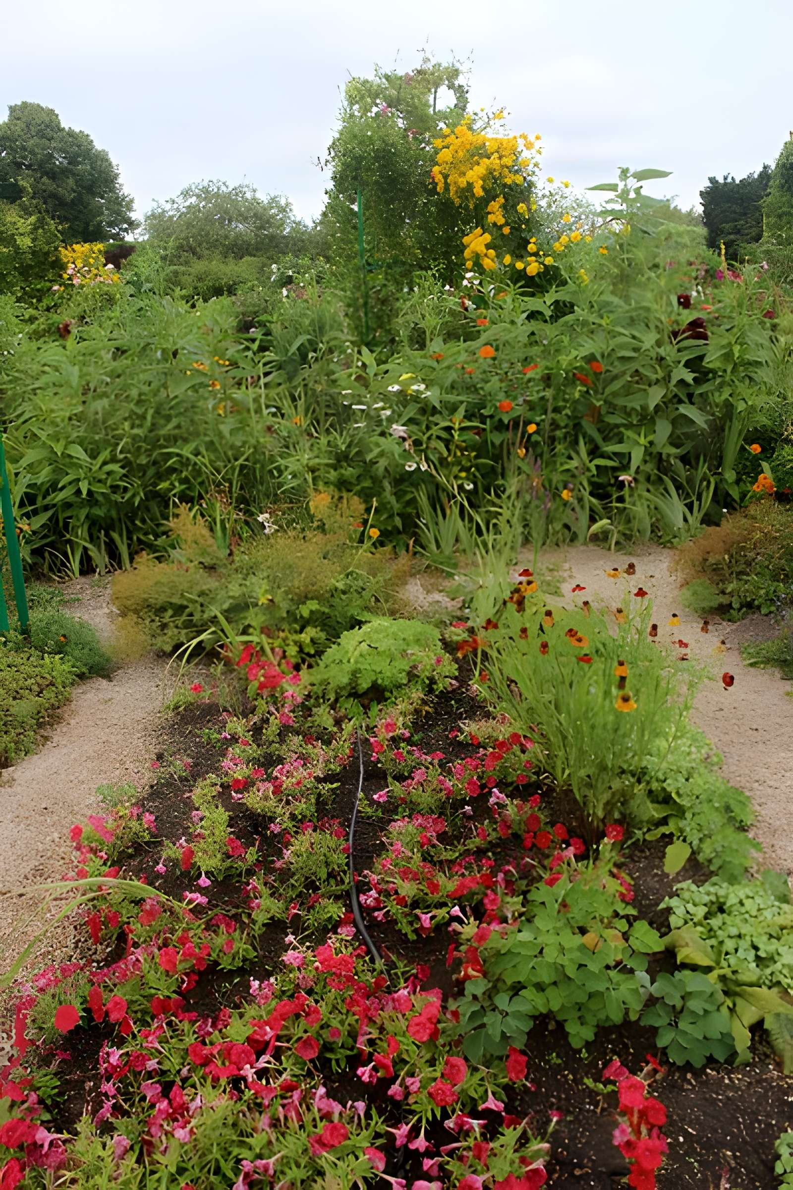 Fondation Claude Monet à Giverny