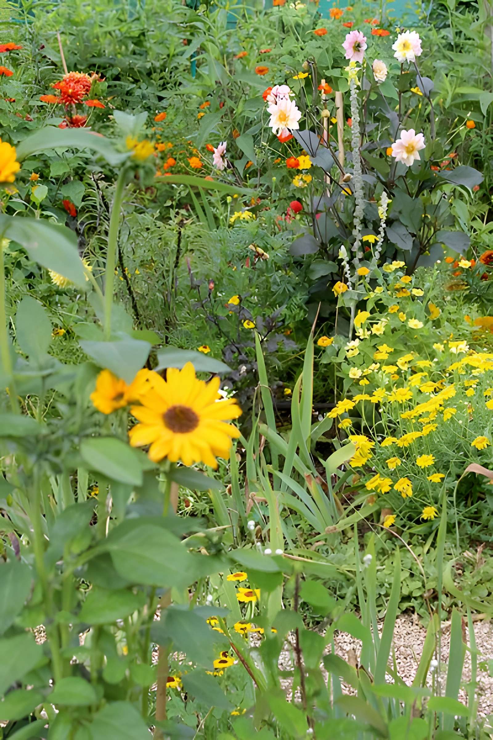 Fondation Claude Monet à Giverny