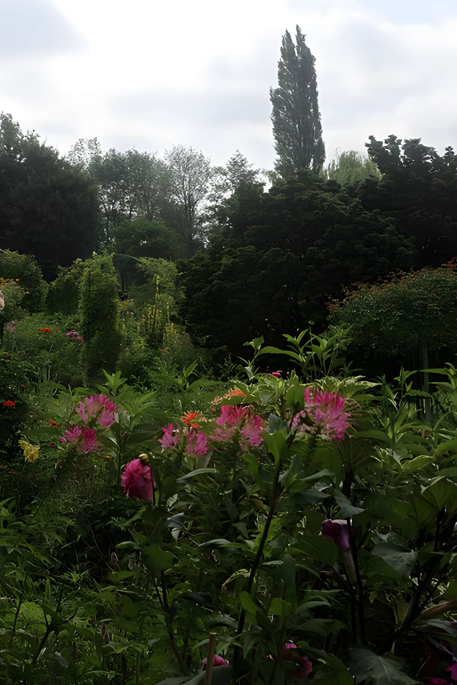 Fondation Claude Monet à Giverny