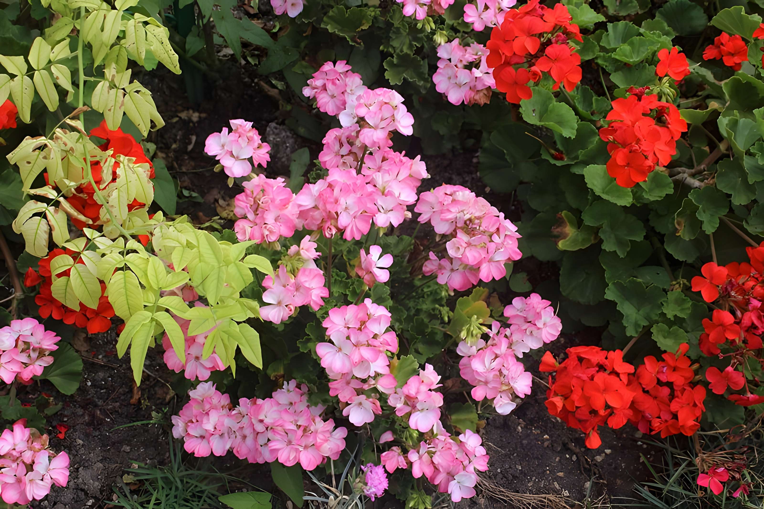 Fondation Claude Monet à Giverny