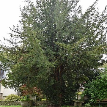 Musée Nicolas-Poussin Des Andelys