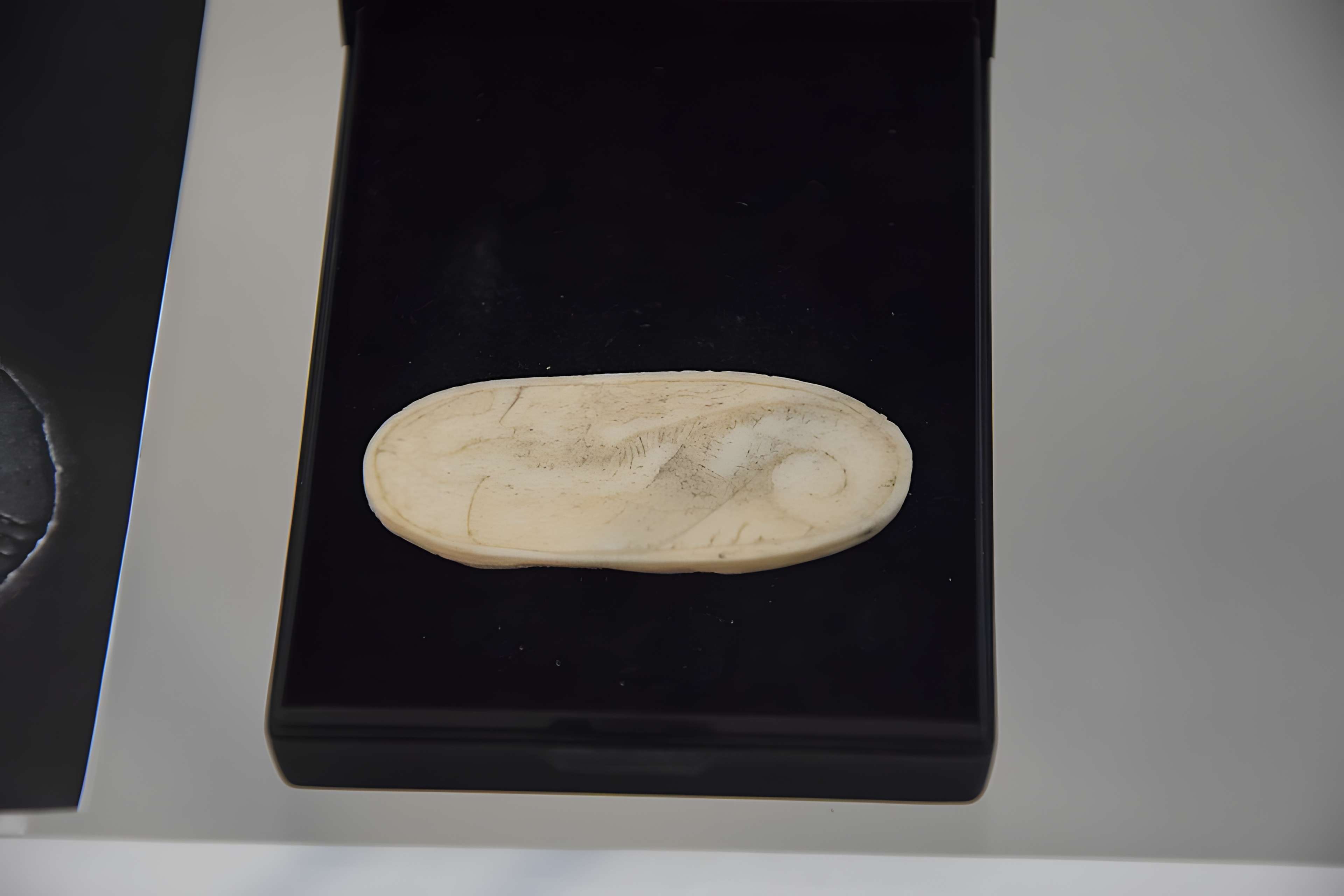 Musée Nicolas-Poussin Des Andelys