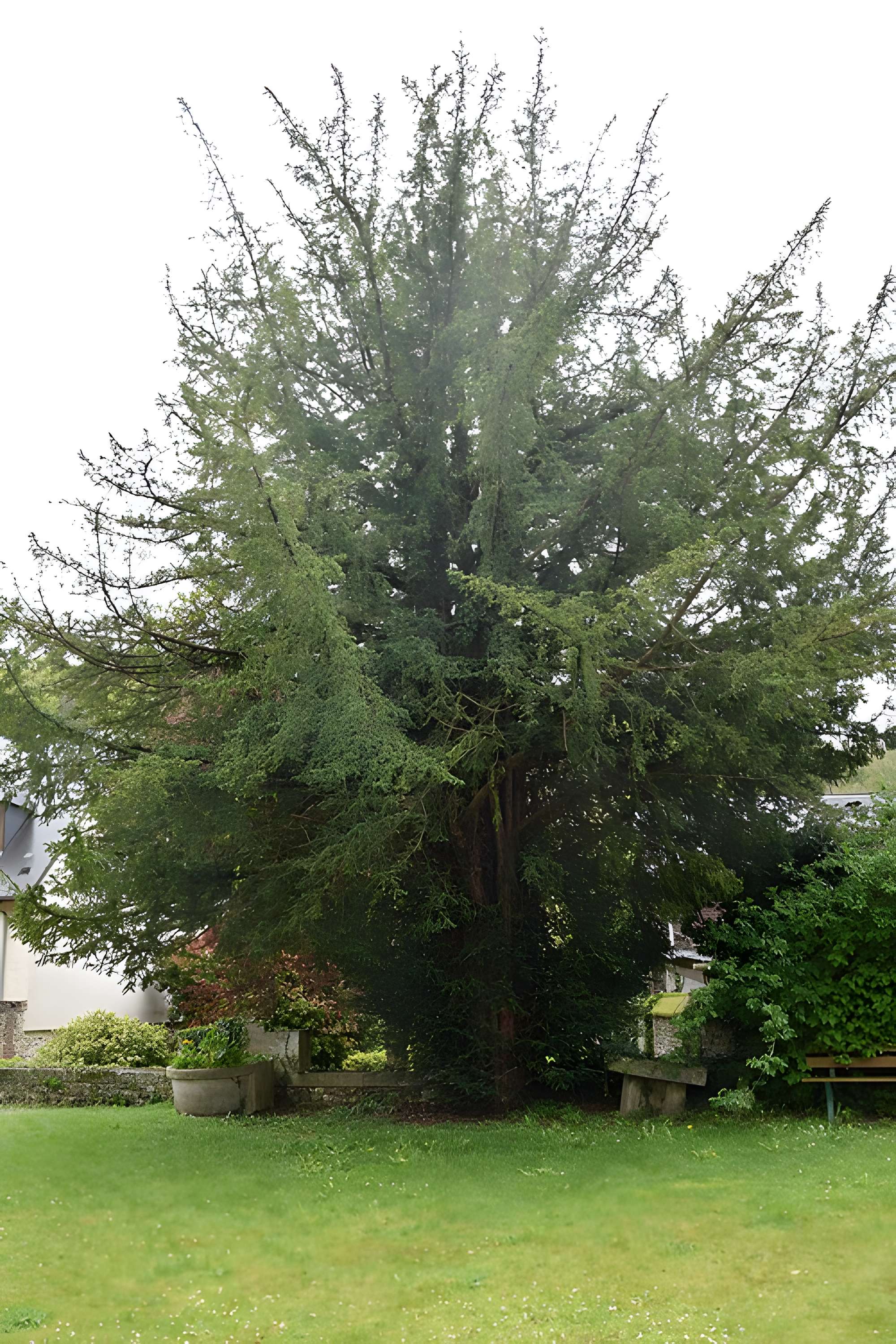 Musée Nicolas-Poussin Des Andelys