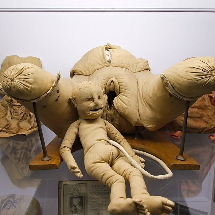 Photo de Musée Flaubert et dhistoire de la médecine à Rouen