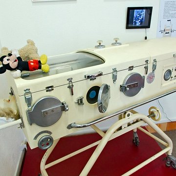 Musée Flaubert et dhistoire de la médecine à Rouen