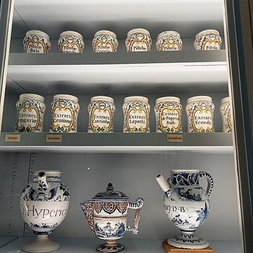 Musée Flaubert et dhistoire de la médecine à Rouen