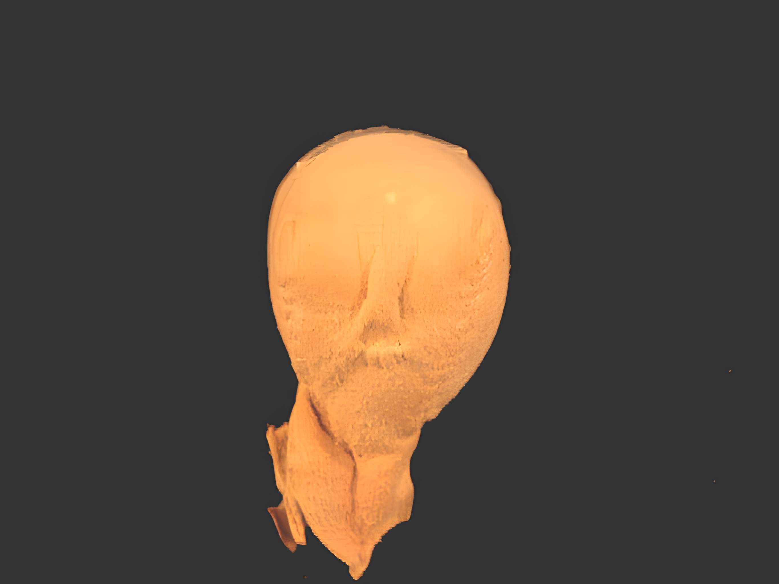 Musée Flaubert et d'histoire de la médecine à Rouen