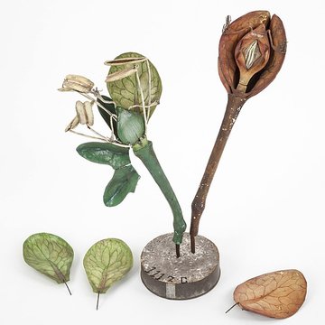 Musée national de lÉducation de Rouen