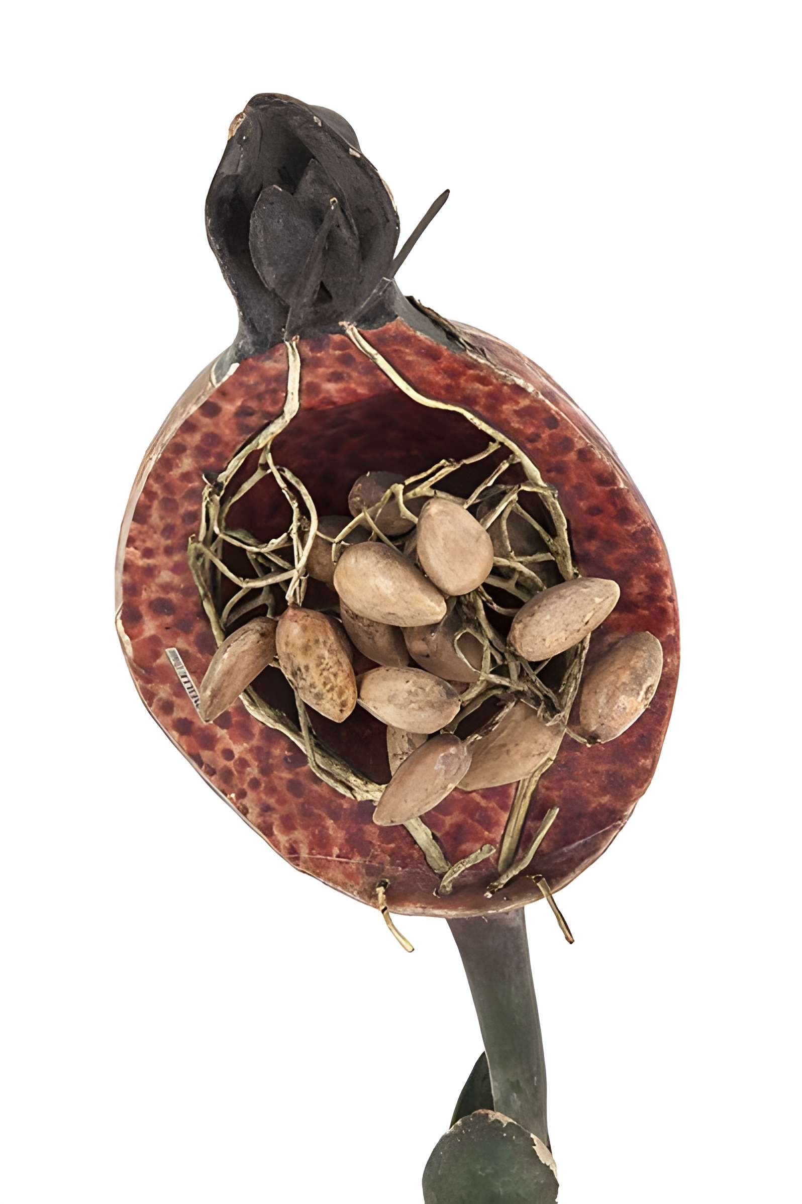 Musée national de l'Éducation de Rouen