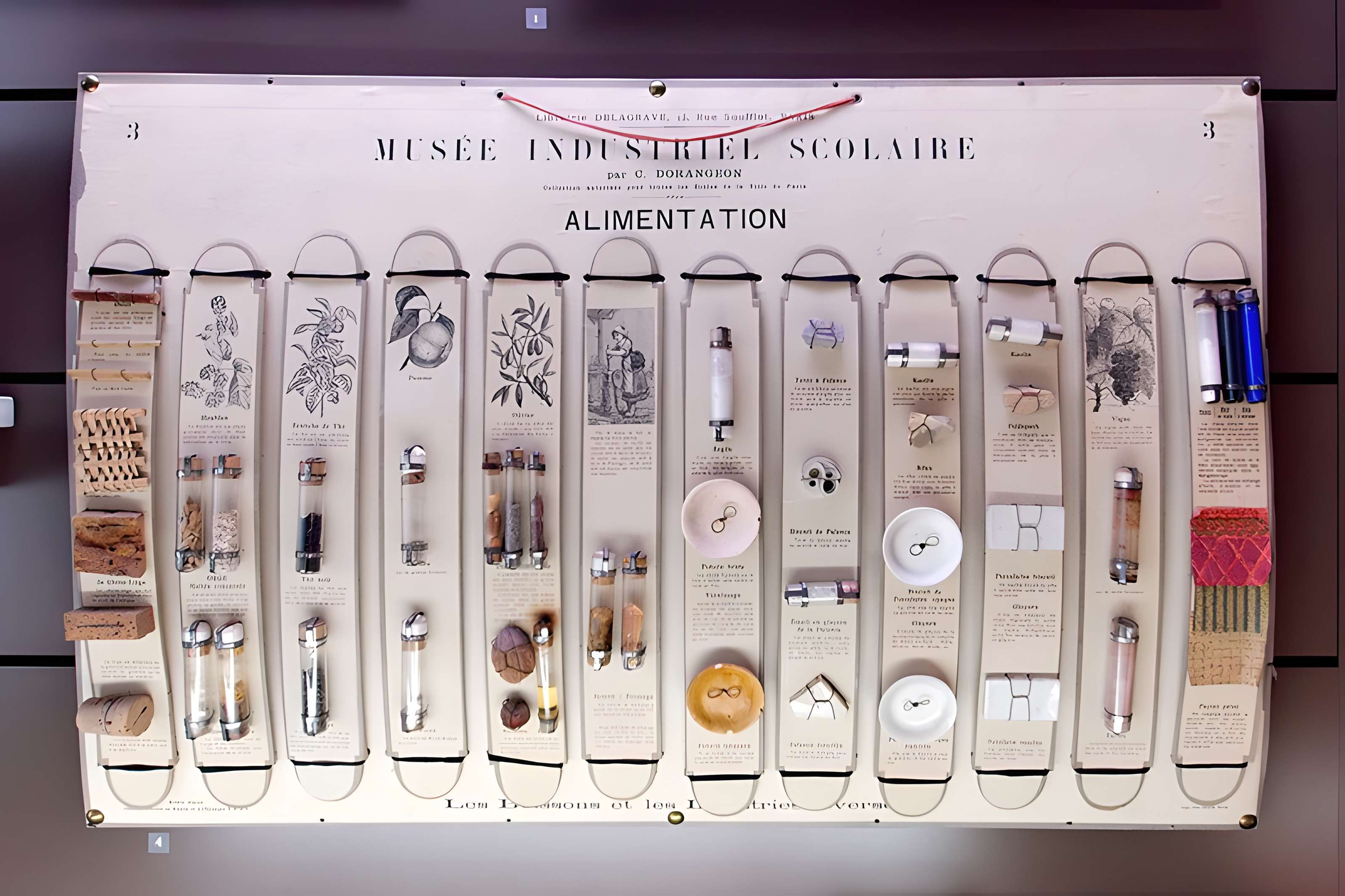 Musée national de l'Éducation de Rouen