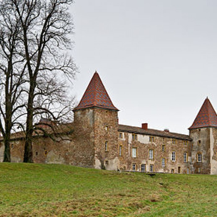 Photo de Château de Rochefort à Amplepuis