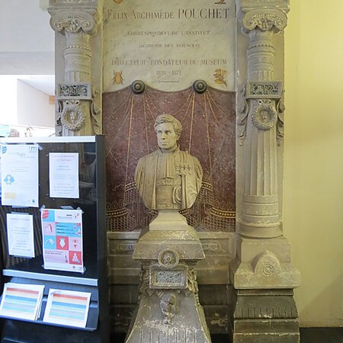 Photo de Muséum dhistoire naturelle de Rouen