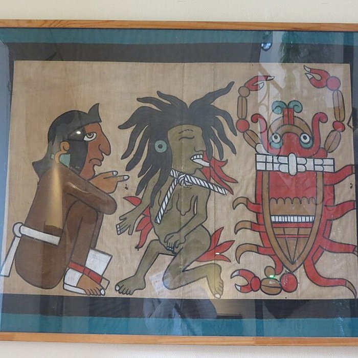 Photo de Muséum dhistoire naturelle de Rouen