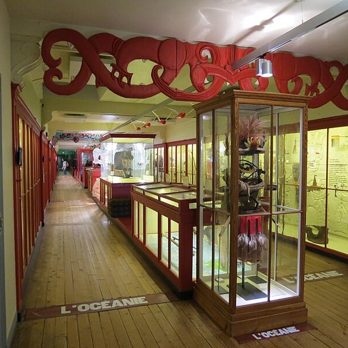 Photo de Muséum dhistoire naturelle de Rouen