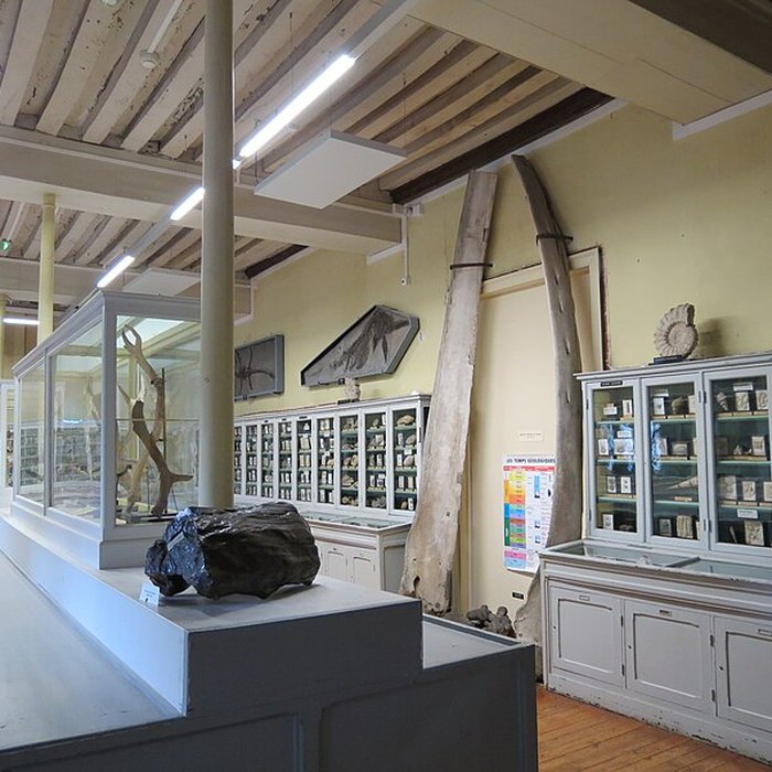 Photo de Muséum dhistoire naturelle de Rouen