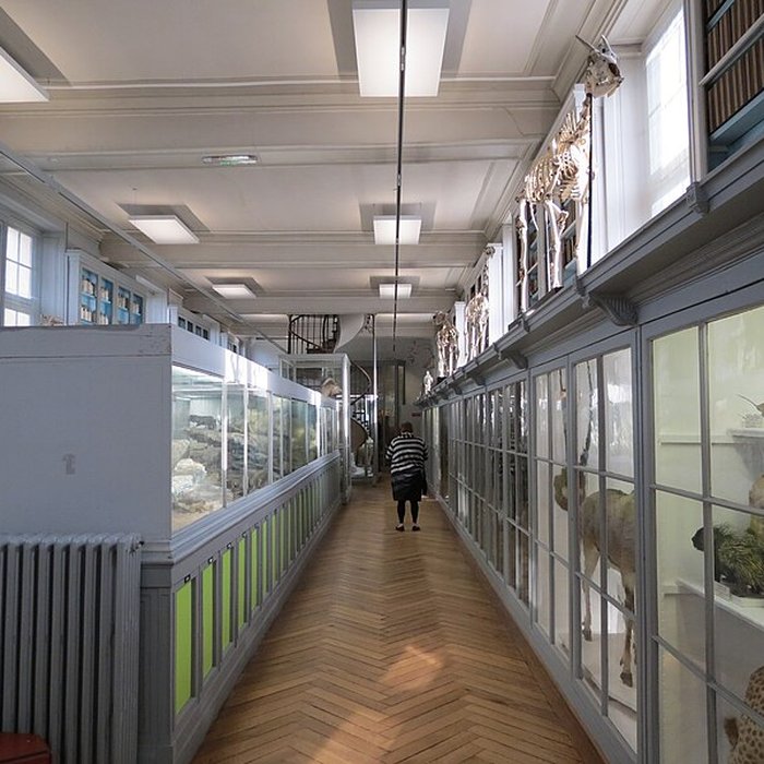 Photo de Muséum dhistoire naturelle de Rouen
